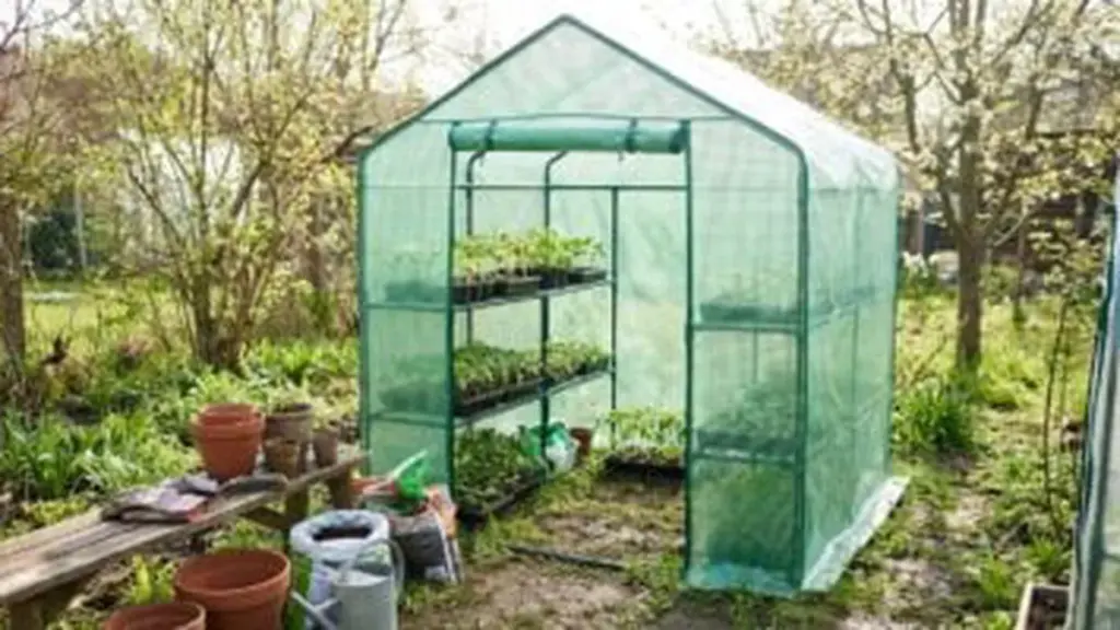 Estate in Giardino: 7 Segreti Essenziali che Cambiano Tutto