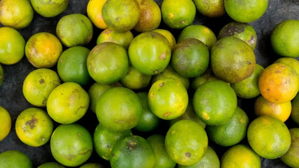 Limone Giallo vs Lime: Sembrano Uguali ma Uno Protegge Davvero la Tua Salute