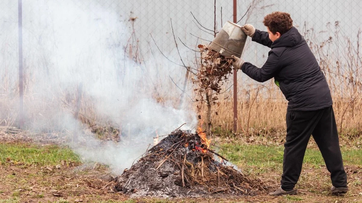 Durante il riordino del giardino a giugno, non dimenticare questo: per un’abitudine banale rischi una multa inaspettatamente alta
